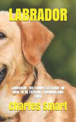 Book cover for Labrador