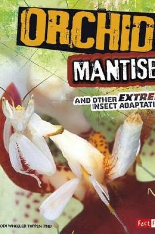 Cover of Orchid Mantises