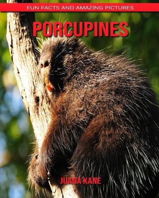 Book cover for Porcupines