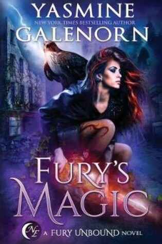 Cover of Fury's Magic