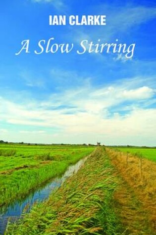 Cover of A Slow Stirring