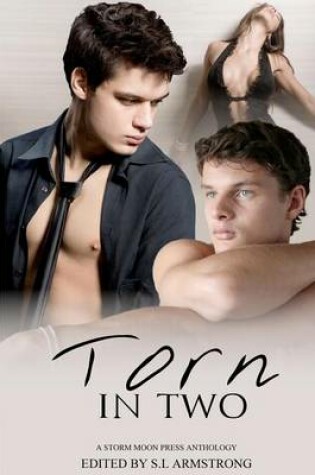 Cover of Torn in Two