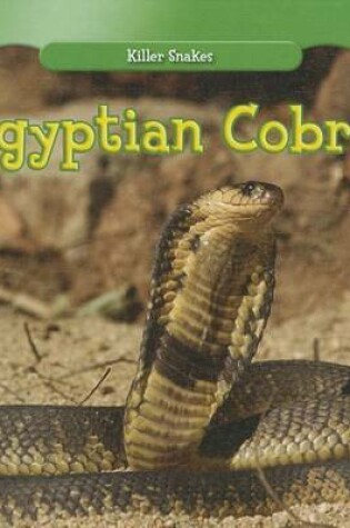 Cover of Egyptian Cobra
