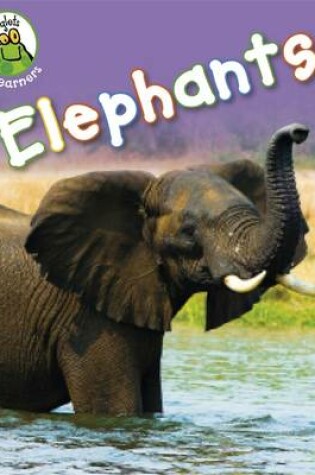 Cover of Elephants