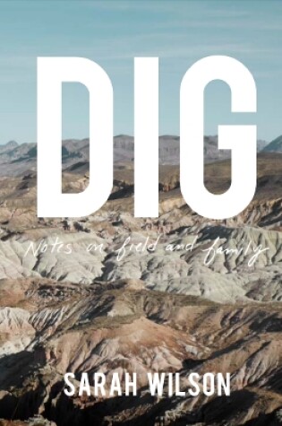 Cover of DIG