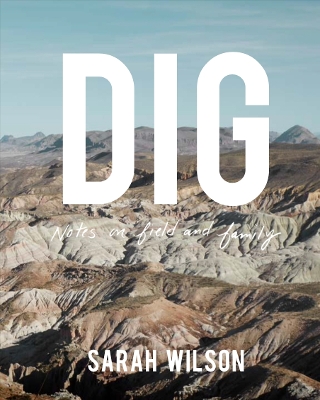 Book cover for DIG