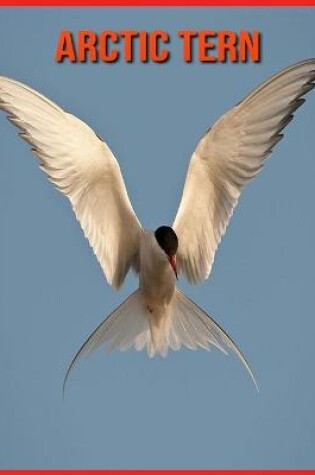 Cover of Arctic Tern
