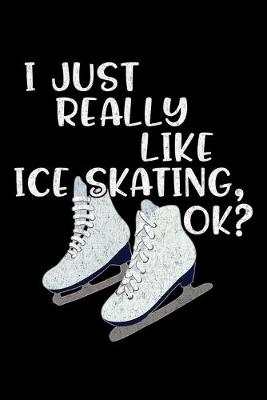 Book cover for I Just Really Like Ice Skating Ok?