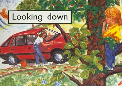 Book cover for Looking Down