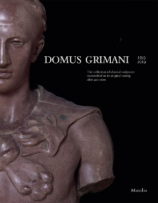 Book cover for Domus Grimani