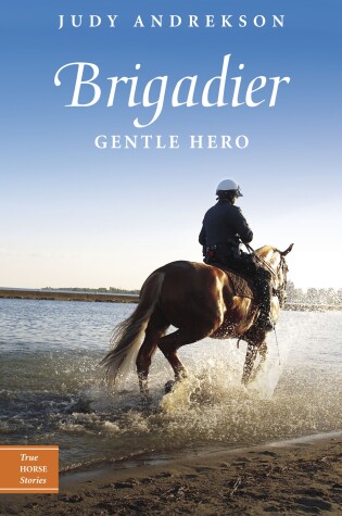 Cover of Brigadier