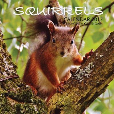 Book cover for Squirrels Calendar 2017