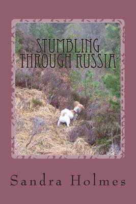 Cover of Stumbling Through Russia