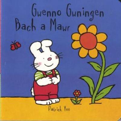 Book cover for Gwenno Gwningen - Bach a Mawr