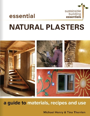 Book cover for Essential Natural Plasters