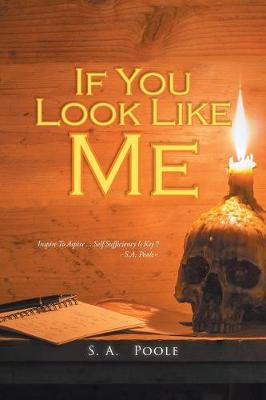 Cover of If You Look Like Me