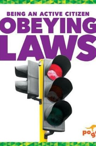 Cover of Obeying Laws