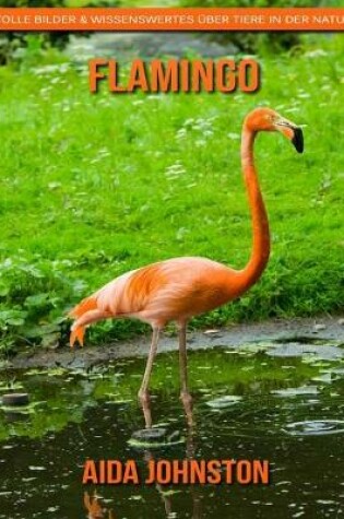 Cover of Flamingo