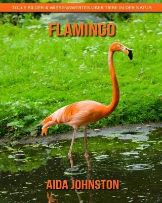 Book cover for Flamingo