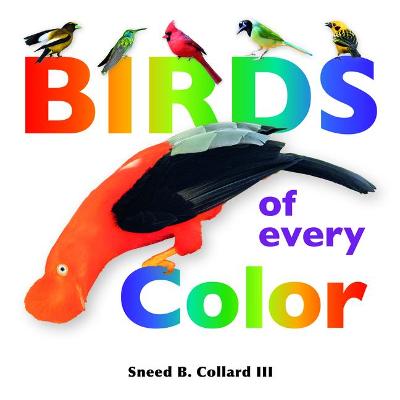 Book cover for Birds of Every Color