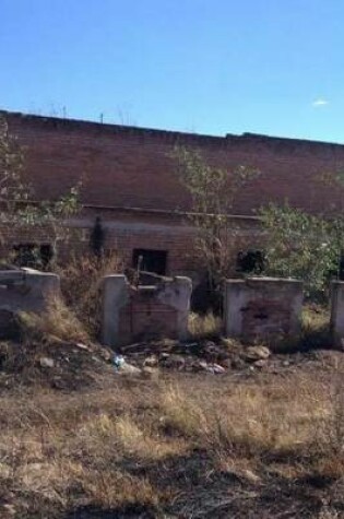 Cover of Catacombs in a Small Mexican Town