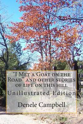 Book cover for I Met a Goat on the Road and Other Stories about Life on This Hill