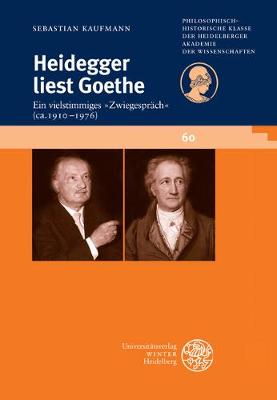 Book cover for Heidegger Liest Goethe