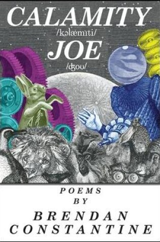 Cover of Calamity Joe