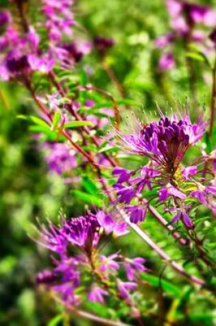 Cover of Purple Wildflowers, for the Love of Flowers