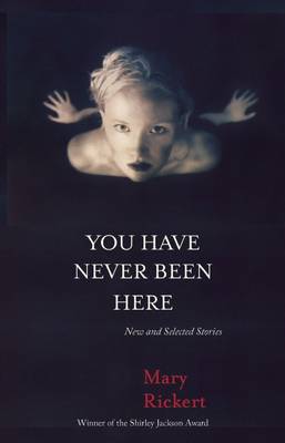 Book cover for You Have Never Been Here