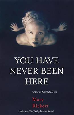 Book cover for You Have Never Been Here