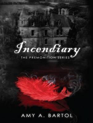 Book cover for Incendiary