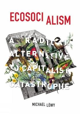 Book cover for Ecosocialism