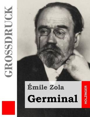 Book cover for Germinal (Grossdruck)