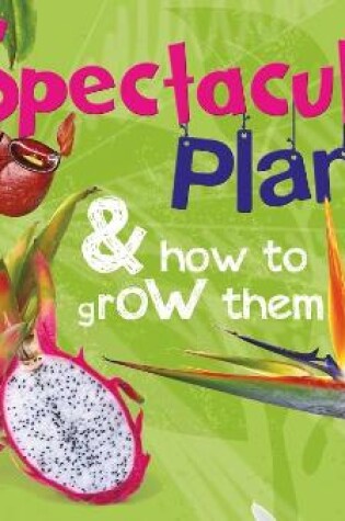 Cover of RHS Spectacular Plants and how to grow them