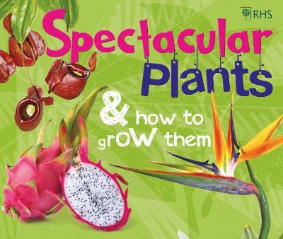 Book cover for RHS Spectacular Plants and how to grow them