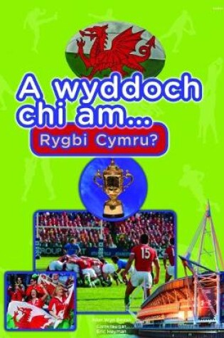 Cover of Cyfres a Wyddoch chi: A Wyddoch Chi am Rygbi Cymru?