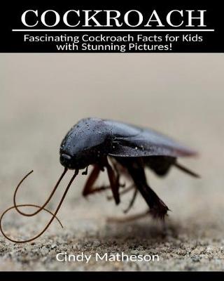 Book cover for Cockroach