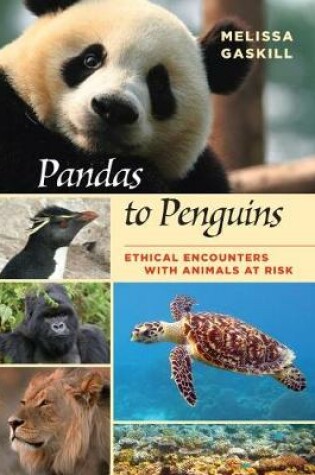 Cover of Pandas to Penguins