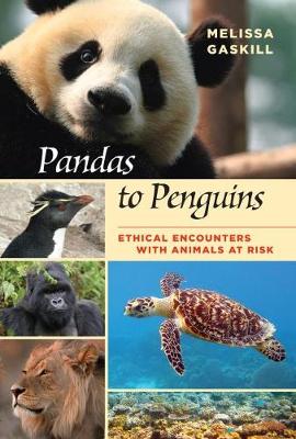 Cover of Pandas to Penguins