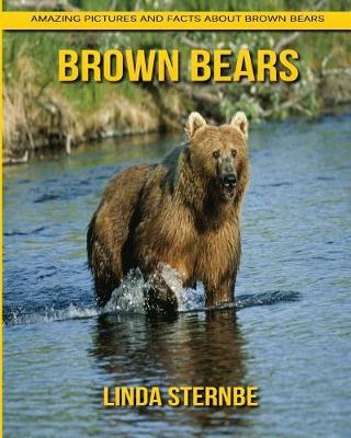 Book cover for Brown Bears