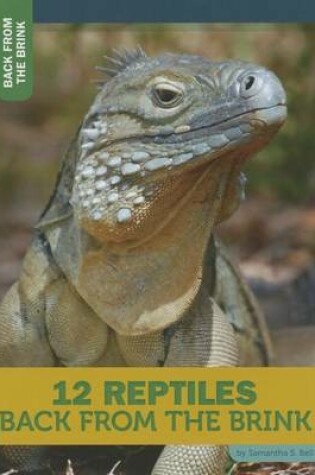 Cover of 12 Reptiles Back from the Brink