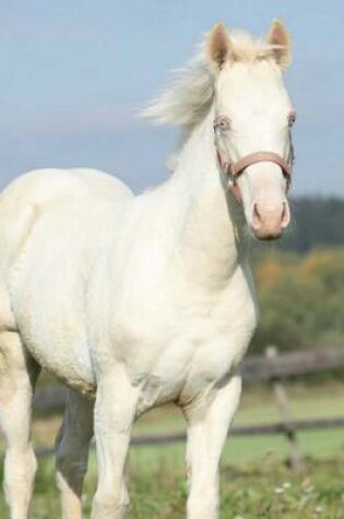 Cover of American Albino Horse