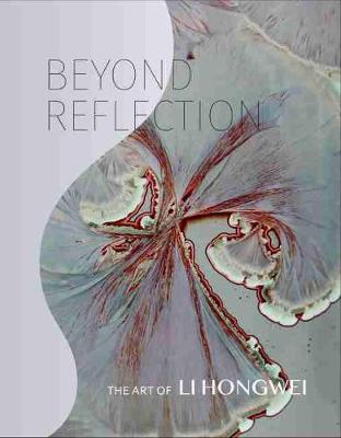 Book cover for Beyond Reflection