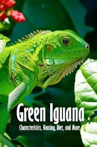 Cover of Green Iguana