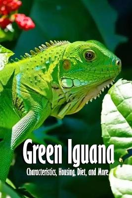 Book cover for Green Iguana