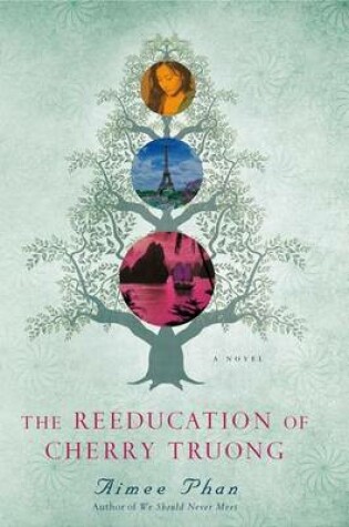 Cover of The Reeducation of Cherry Truong