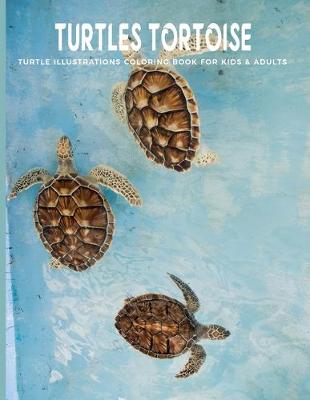 Book cover for Turtles Tortoise Turtle Illustrations Coloring Book For Kids & Adults