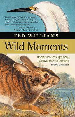 Book cover for Wild Moments