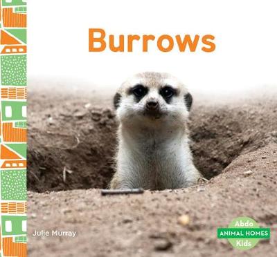 Cover of Burrows